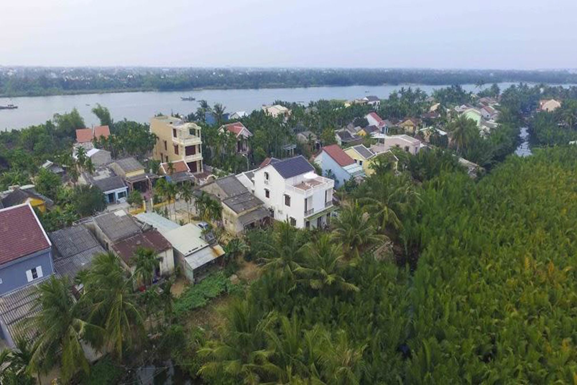 Coconut Garden Homestay ฮอยอัน ภายนอก รูปภาพ