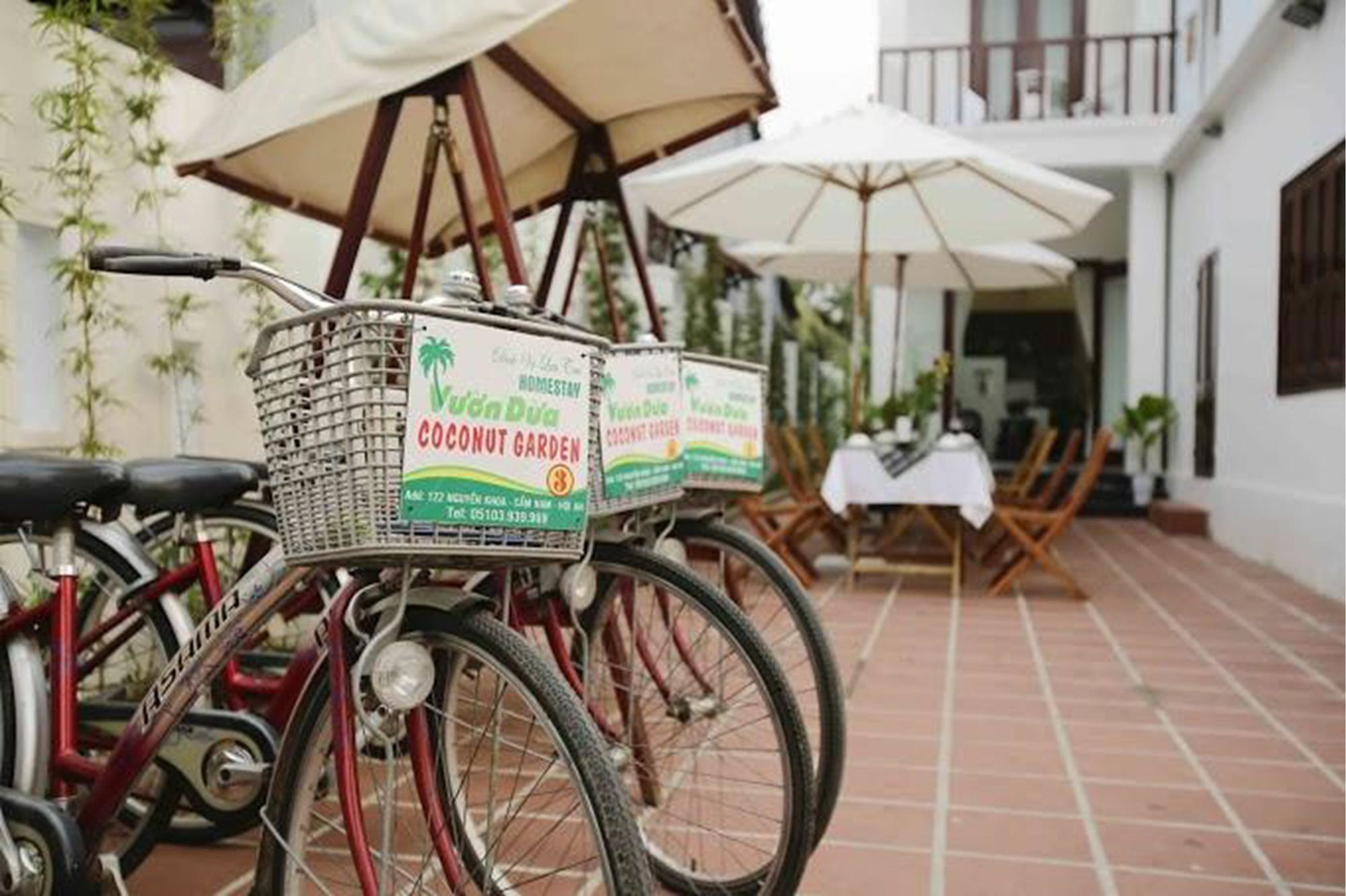 Coconut Garden Homestay ฮอยอัน ภายนอก รูปภาพ